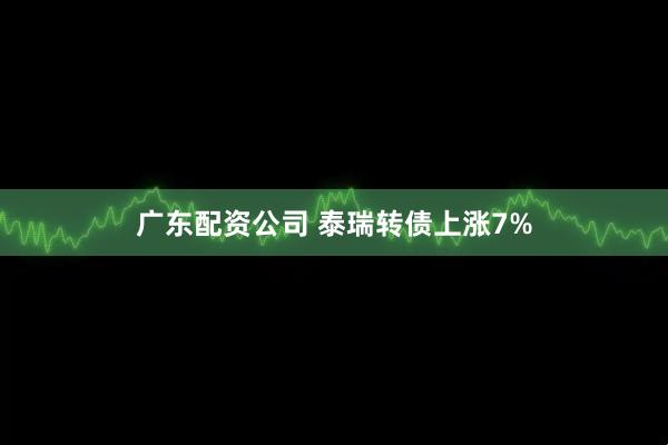 广东配资公司 泰瑞转债上涨7%